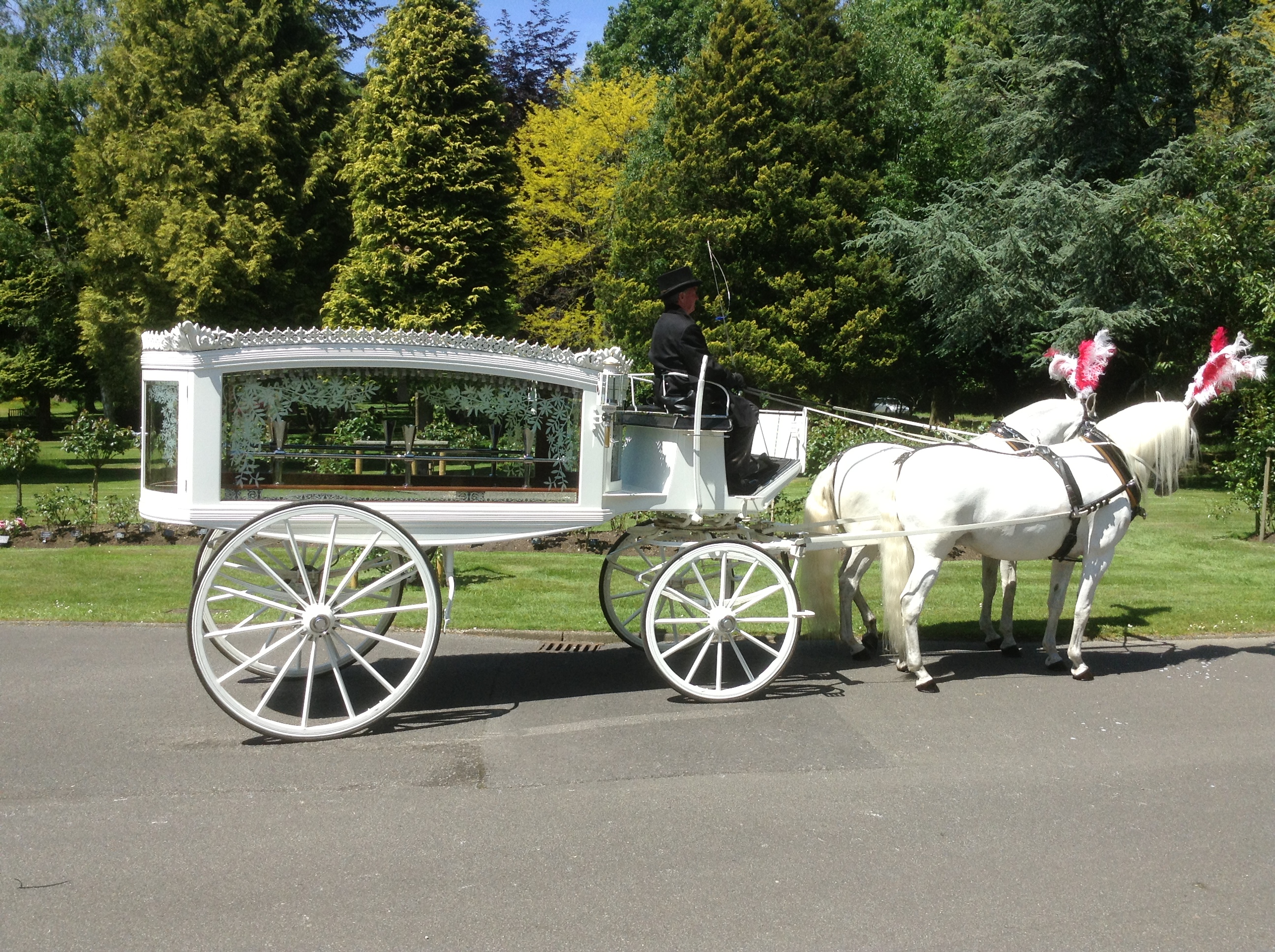 White horse and carriage