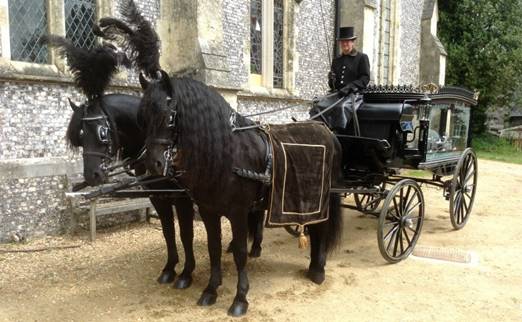 Black horse and carriage